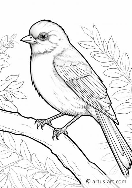 Towhee Coloring Page